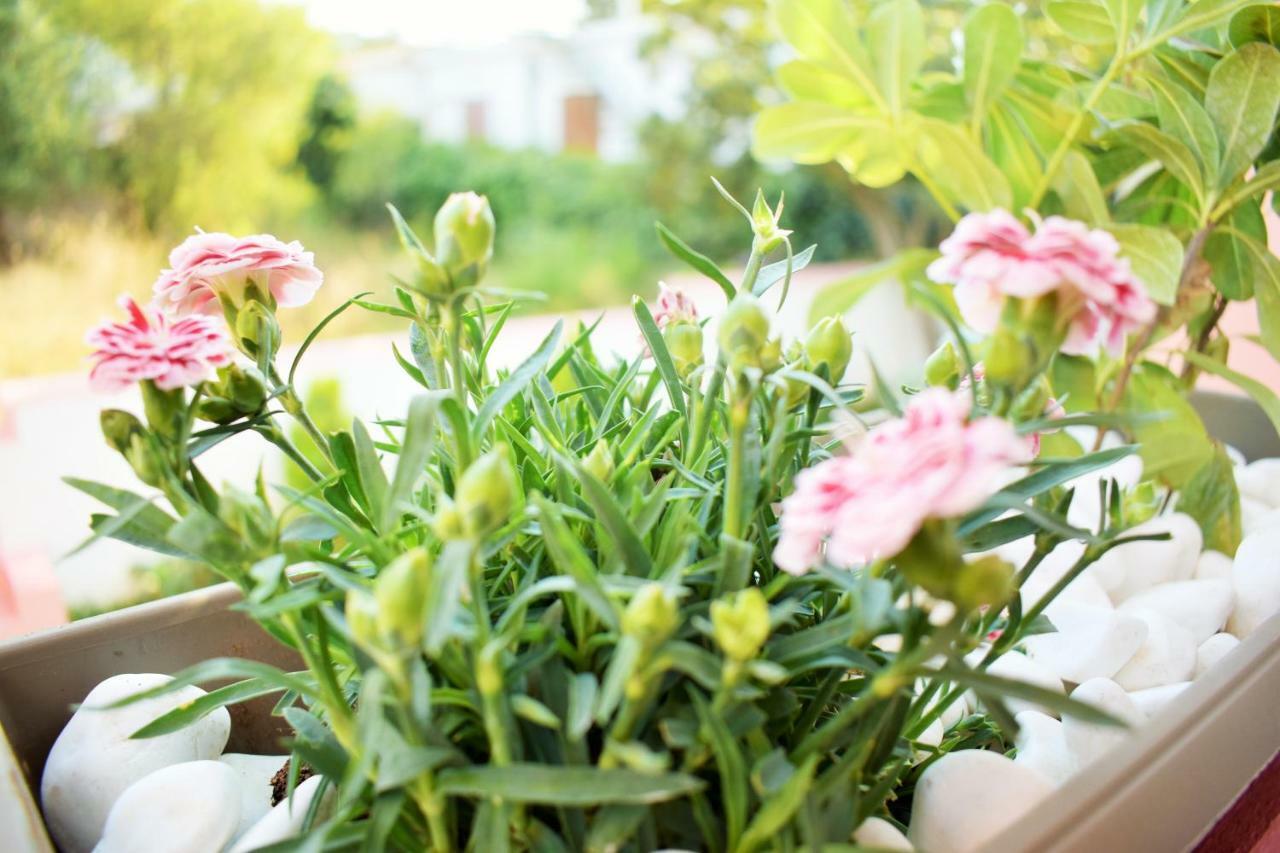 Urban Nature Artemida  Ngoại thất bức ảnh